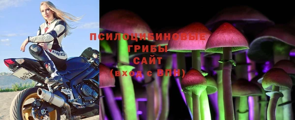 эйфоретик Армянск