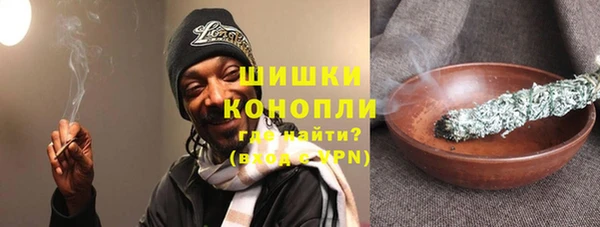 хмурый Аркадак