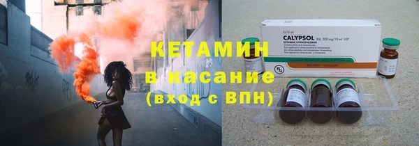 хмурый Аркадак