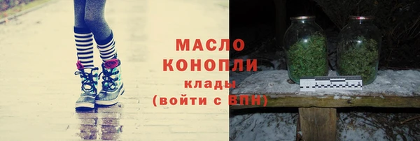 хмурый Аркадак