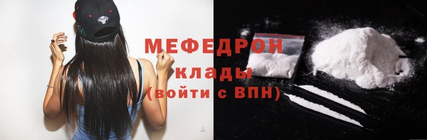 хмурый Аркадак