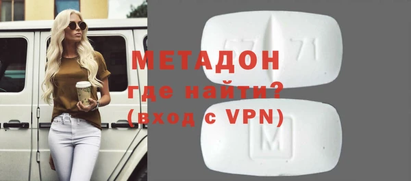 хмурый Аркадак