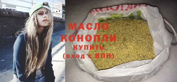 хмурый Аркадак