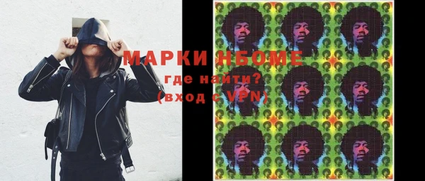 хмурый Аркадак