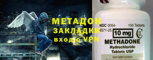 хмурый Аркадак