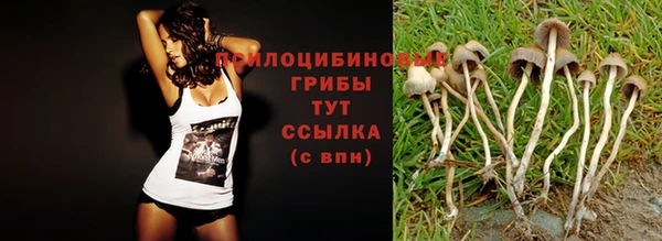 эйфоретик Армянск