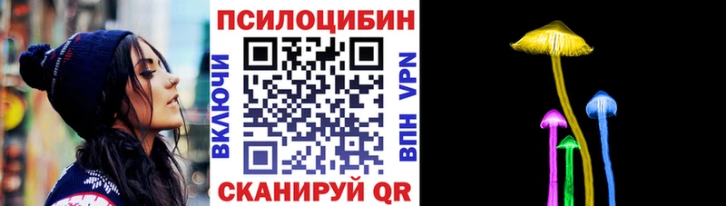 Галлюциногенные грибы Psilocybe  дарк нет наркотические препараты  Арск 